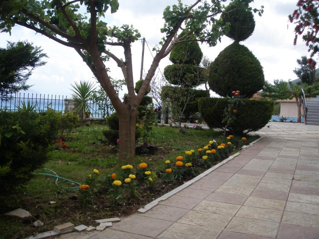 Aparthotel Katerina Lefkada Vasiliki Exterior foto